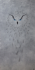 OWLPINE 2015 // VITREOUS ENAMEL ON STEEL // 850mm x 1640mm